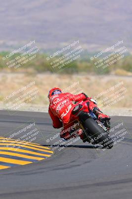 media/Oct-09-2022-SoCal Trackdays (Sun) [[95640aeeb6]]/Turn 14 Backside (1125am)/